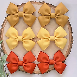 6'Lı Sonbahar Serisi, Klipsli Toka